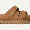 Goldenstar Hi Slide Goldenstar Hi Slide