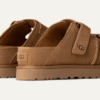 Goldenstar Hi Slide Goldenstar Hi Slide