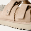 Goldenstar Hi Slide Goldenstar Hi Slide